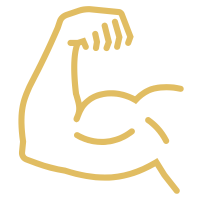 Icons-Training-Webseite-60-x-60-cm-200-x-200-px-